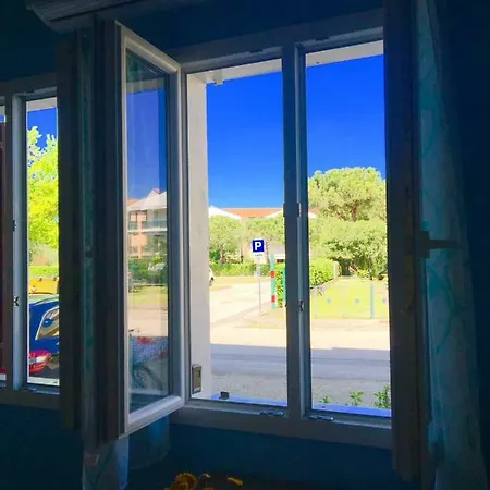 Delfino Azzurro Apartment *